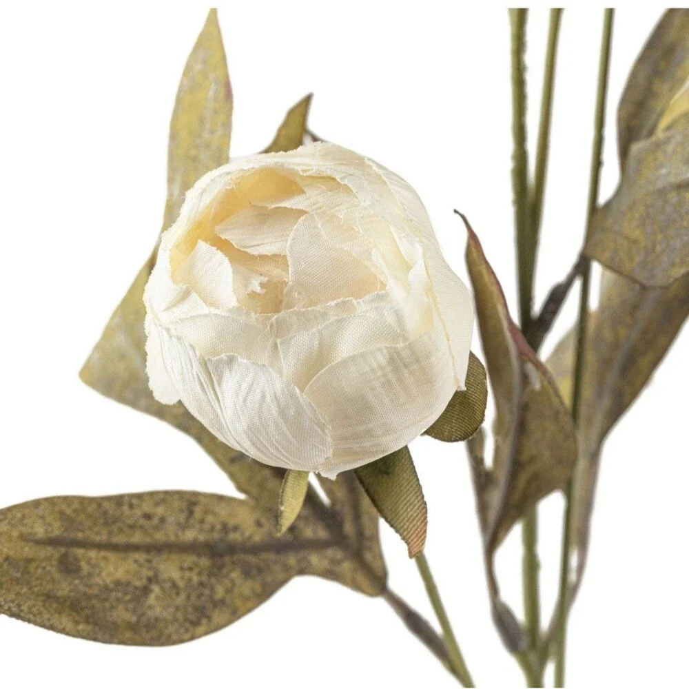 Set of 6 Viral Ashland Cream Peony Stems From Michael’s NEW
